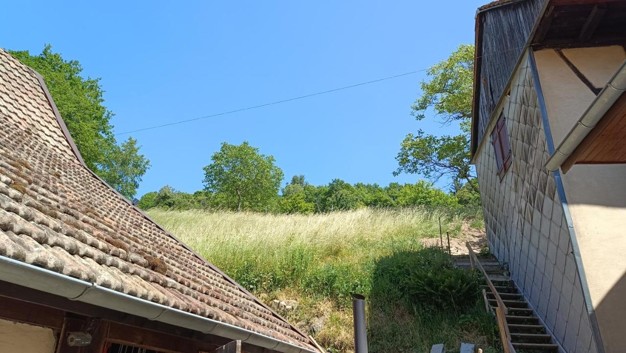 Studio A Murbach Au Calme Exterior foto