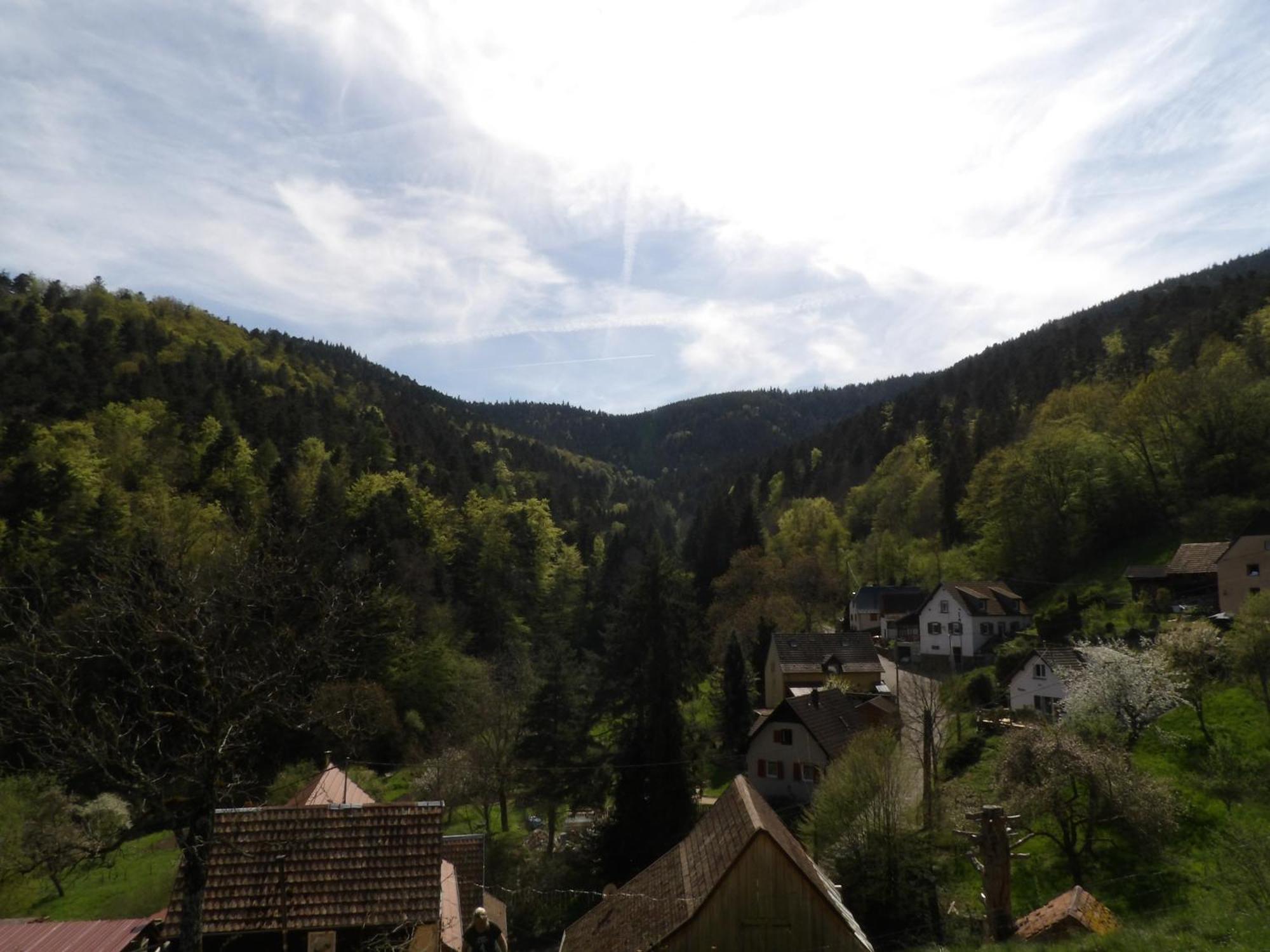 Studio A Murbach Au Calme Exterior foto